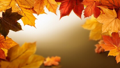 autumn leaf background with room for copy space