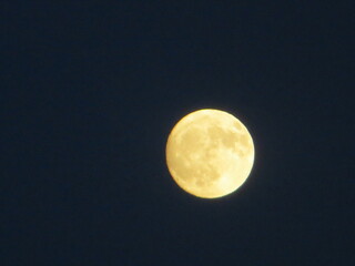 moon in the sky