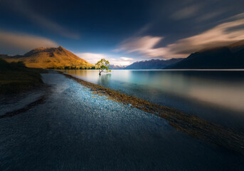 Poster - A lone tree stands in a calm lake, surrounded by mountains.  The water is a soft blue and the sky is filled with clouds.