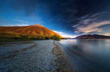 Poster - A lone tree stands on a pebbled shore, its branches dipping into the calm water. The mountains rise in the distance, reflecting the golden glow of the sky.