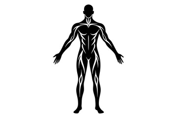 Minimal Human body Silhouette | vector silhouette illustration on white background