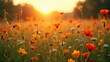 © Cornflakesei - Golden Hour in a Wildflower Meadow