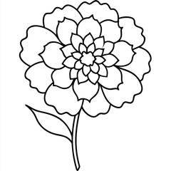 Sticker - Botanical Marigold Line Art.