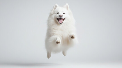 A joyful white dog leaps in mid air, showcasing its playful spirit and fluffy fur. This energetic moment captures essence of happiness and fun