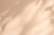 © Ton Photographer4289 - Empty beige background with sunlight superimposed shadow leaves on the wall. autumn background template for product presentation concept