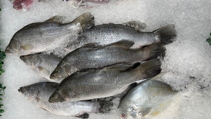 Fresh Fish for sale in the seafood market.Fresh fish for sale in a butcher shop.Fish meat on the stall. selling fresh fish in traditional market. traditional butcher stall.