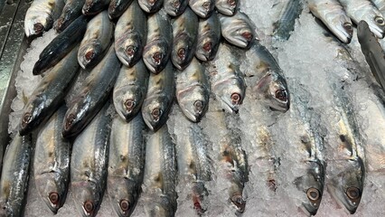 Fresh Fish for sale in the seafood market.Fresh fish for sale in a butcher shop.Fish meat on the stall. selling fresh fish in traditional market. traditional butcher stall.