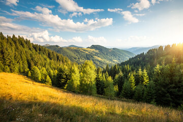 Wall Mural - Breathtaking summer day in wild mountains with coniferous forest and green slopes. Carpathian mountains, Ukraine, Europe.