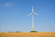 © Westend61 - Wind turbines on field under blue sky