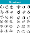 © shabanashoukat49 - Plum icon fruit vector fresh produce healthy food organic farm ripe juicy sweet orchard symbol