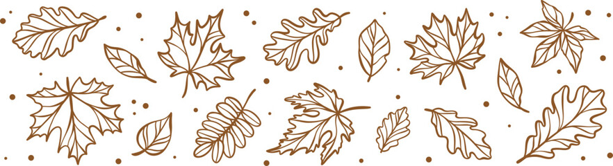 Poster - Autumn line art leaves, leaf doodle banner or border design isolated on white background, transparent decorative vector clip art design