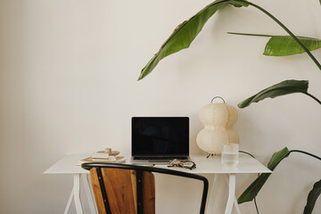 Wall Mural - clean and modern office space with laptop, spectacles, and lamp on desk set against a green plant ba