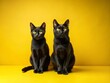 © Wanlop - Minimalist Black Cats on Vibrant Yellow Background - Stylish Feline Art for Modern Decor, Home Aesthetics, and Cat Lovers