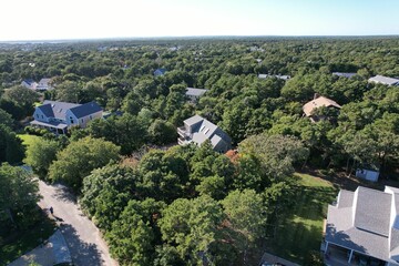 Canvas Print - Aerial view of suburban neighborhood with lush green trees