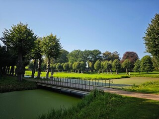 Serene park landscape with bridge and pond.