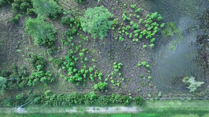 Poster - Drone footage over a rural land with lush greenery at the daytime