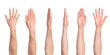 © Kyrylo - Male straight arm from different angles isolated on transparent background, png file