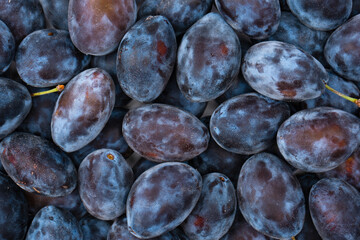 Wall Mural - Fresh plums background. Top view. Organic food.