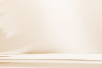 Fototapete - Abstract white color studio background for product presentation. Empty room with shadows of window and flowers and plant leaves . 3d grey room with copy space. Summer concept. Blurred backdrop.