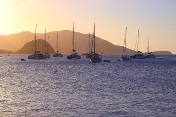 Canvas Print - Anchored sailing yachts in Guadeloupe