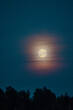 © Arina - Photo of the moon , full moon on the background of the forest. Vertical orientation