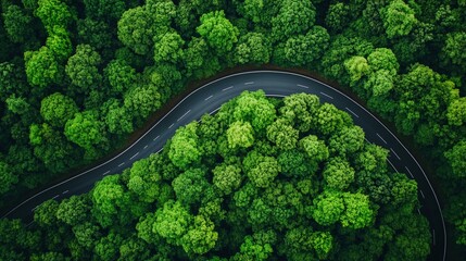 Aerial view of a winding road cutting through lush green forest, showcasing the contrast between nature and human infrastructure in a stunning landscape.