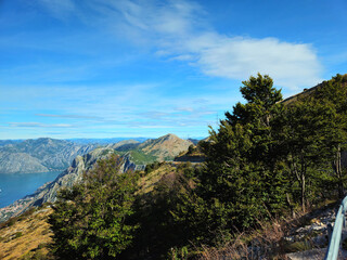 Panoramic Scenic View of the Bay of Kotor, Montenegro from a Mountain Summit on a Clear Day with Blue Sky, Lush Greenery, Distant Coastal Towns, and Majestic Mountains in the Background