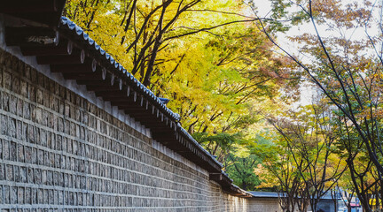 The autumn scenery of Deoksugung Doldam-gil Street, South Korea.