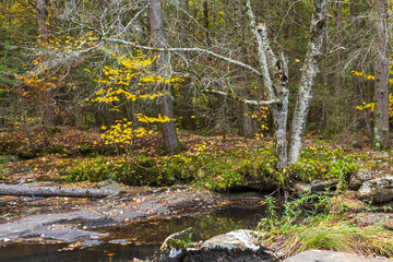 Autumn landscape in Middlefield, Massachusetts