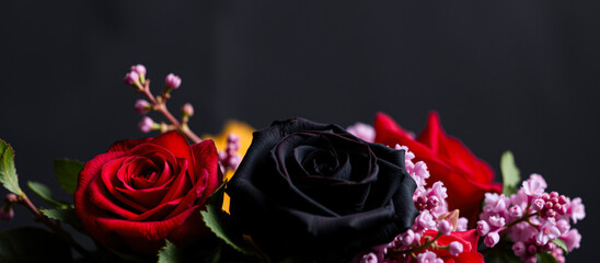 Poster - black red pink roses against a dark background