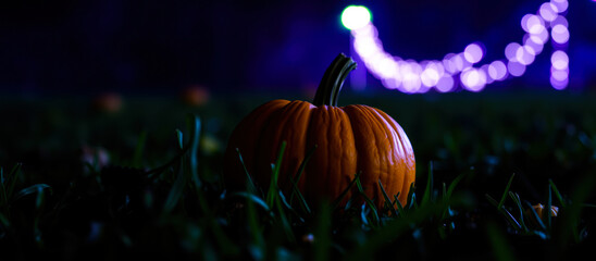 Sticker - lone pumpkin glows the grass on a dark night.