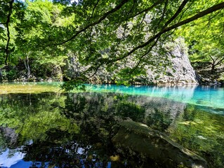 Shallow part of the river Vikos with crystal clear turquoise water surrounded by green bushes and trees at the bottom of the Vikos Gorge in Greece in the province of Epirus, hiking in Greece