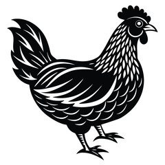 Wall Mural - Chicken Vector Design for Farm Projects.