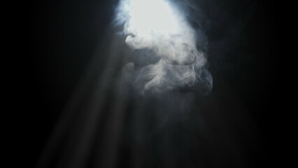 Wall Mural - soft diffused rays of light cut through the hazy darkness.