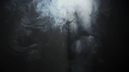 Wall Mural - soft diffused rays of light cut through the hazy darkness.