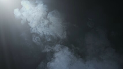 Wall Mural - soft diffused rays of light cut through the hazy darkness.