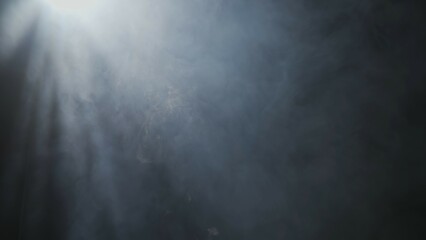 Wall Mural - soft diffused rays of light cut through the hazy darkness.