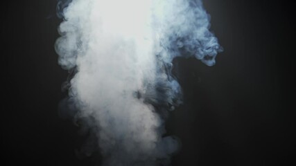 Wall Mural - soft diffused rays of light cut through the hazy darkness.