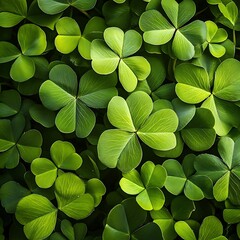 Wall Mural - A dense arrangement of vibrant green clover leaves, showcasing nature's beauty.