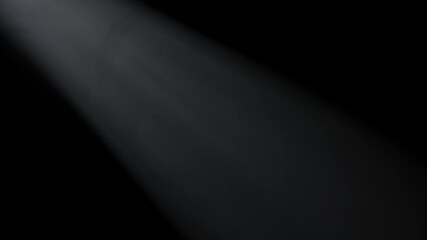 Wall Mural - soft diffused rays of light cut through the hazy darkness.