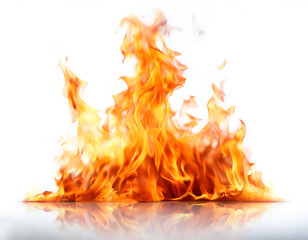 Fire flames isolated on white background