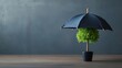 © Hansa & Party - An umbrella shielding a growing tree, symbolizing business nurturing and protection