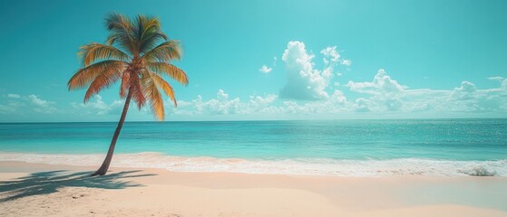 Serene beachscape with a lone palm tree under a soft pastel sky, inviting tranquility and reflection by the ocean's edge