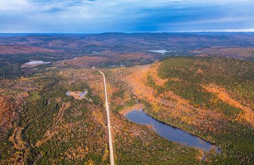 Wall Mural - canadian autumn, aerial view of colourful forest in quebec