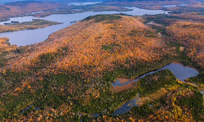 Wall Mural - canadian autumn, aerial view of colourful forest in quebec
