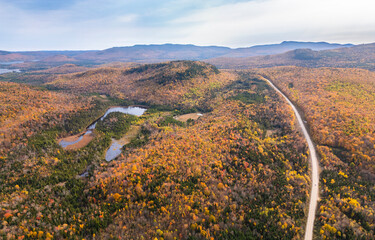 Wall Mural - canadian autumn, aerial view of colourful forest in quebec