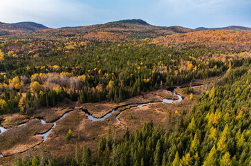 Wall Mural - canadian autumn, aerial view of colourful forest in quebec