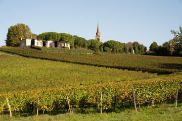 Wall Mural - Sunset landscape bordeaux wineyard, Langoiran, france, europe Nature. High quality photo