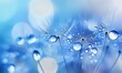 © Monirknn - Dandelion Seeds in drops water on blue beautiful background with soft focus in nature macro. Drops of dew sparkle on dandelion in rays of light, generative ai