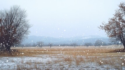 Wall Mural - Snow gently falling on an open field, with distant mountains barely visible through the mist